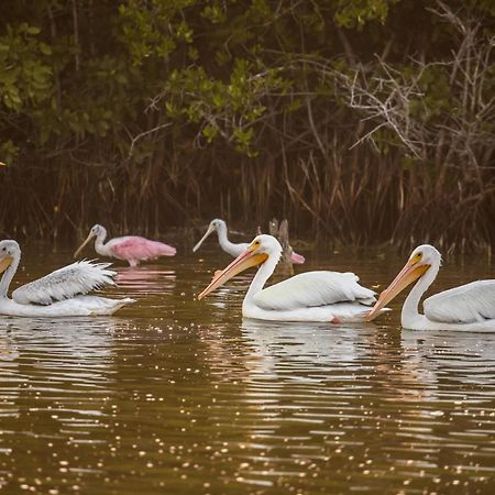 Отель La Casa De Mia Holbox Экстерьер фото