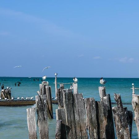 Отель La Casa De Mia Holbox Экстерьер фото