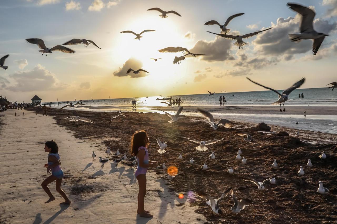 Отель La Casa De Mia Holbox Экстерьер фото