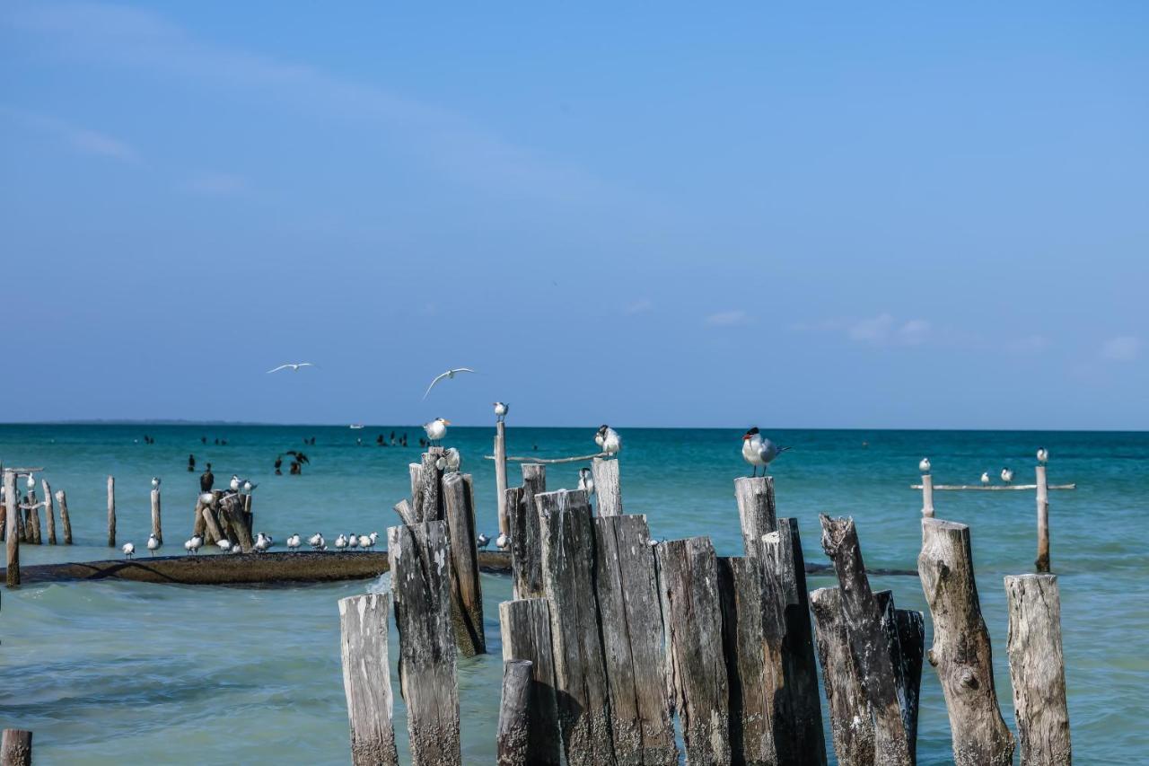 Отель La Casa De Mia Holbox Экстерьер фото