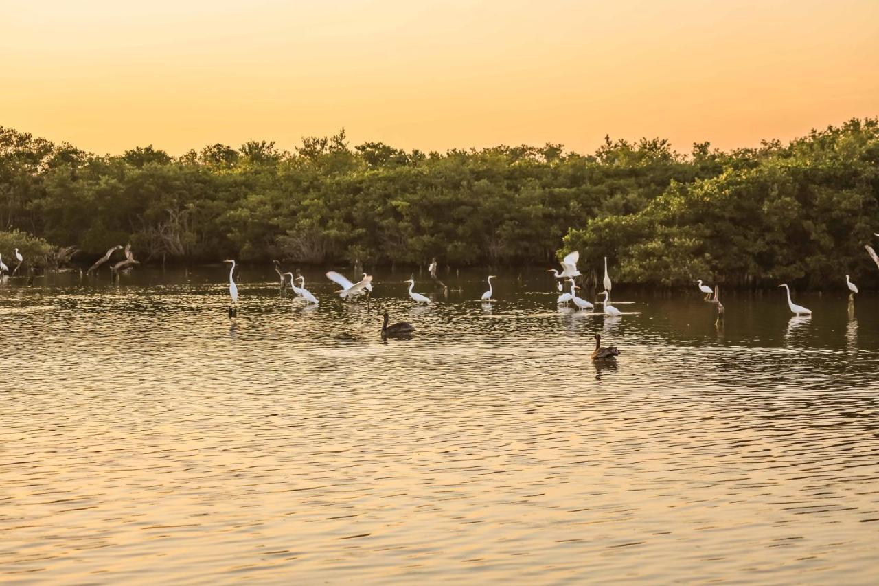 Отель La Casa De Mia Holbox Экстерьер фото